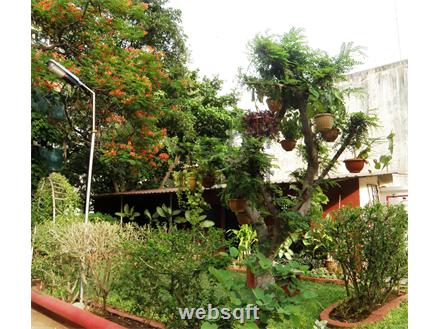 3 BHK Apartment-flats for Sale in Somajiguda